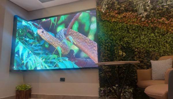 تُعتبر شاشات LED المرنة (Flexible LED screens) نقلة نوعية في عالم تكنولوجيا العرض، حيث تتميز بقدرتها على الانحناء والتشكيل بأشكال مختلفة، مما يفتح آفاقاً واسعة للتصميم والإبداع في مختلف المجالات.